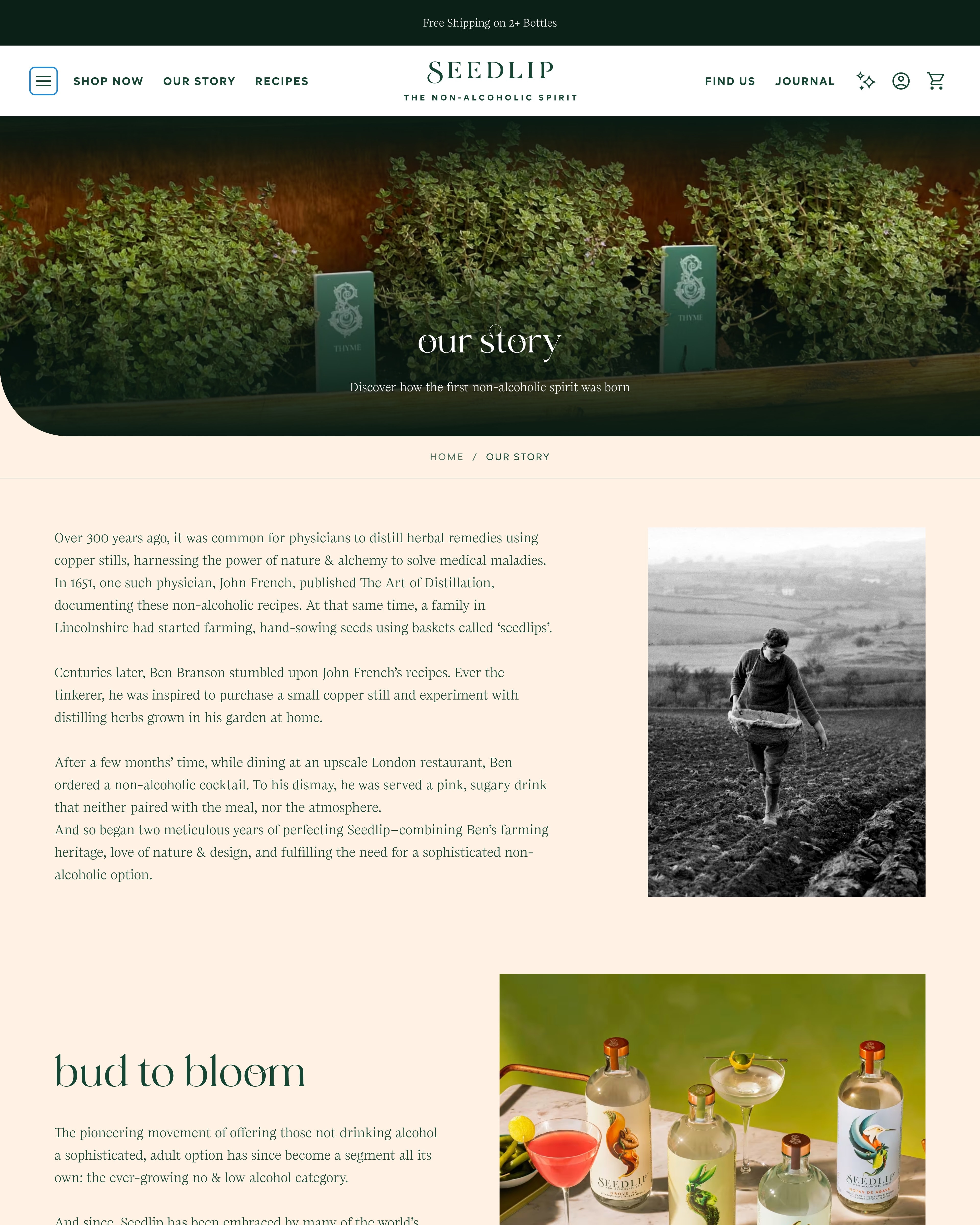 Seedlip Our Story